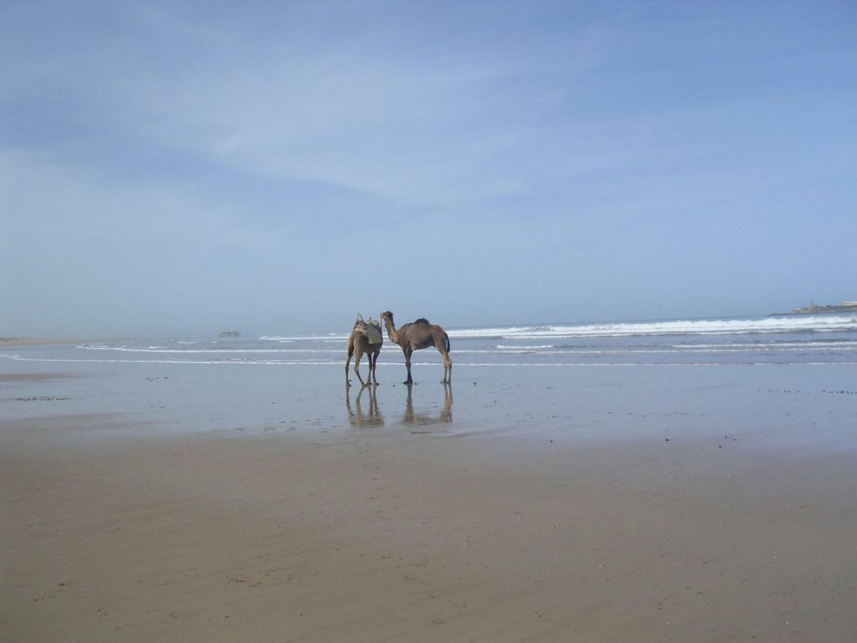 Stunning Loft With Pools Near The Beach الصويرة المظهر الخارجي الصورة
